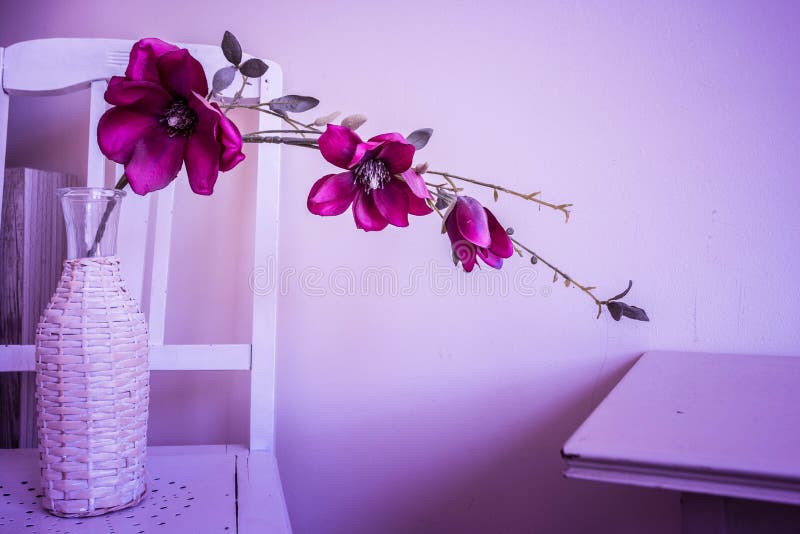 Viola fiori di orchidea in vaso bianco in un retro di casa su una sedia di legno.