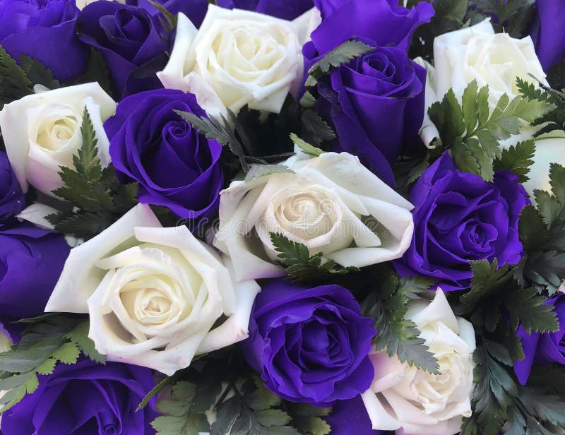 Beautiful bouquet of purple and white flowers with wrapping paper and  ribbons on white isolated background Stock Photo - Alamy