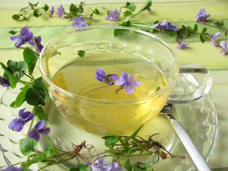 Violet tea stock photo. Image of medical, viola, blossoming 16221742