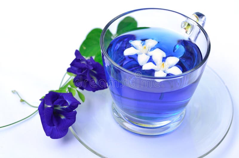 Violet Tea with Blue Flowers Stock Image Image of plant, food 24868773