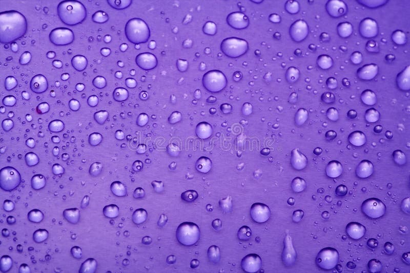 Violet water drops