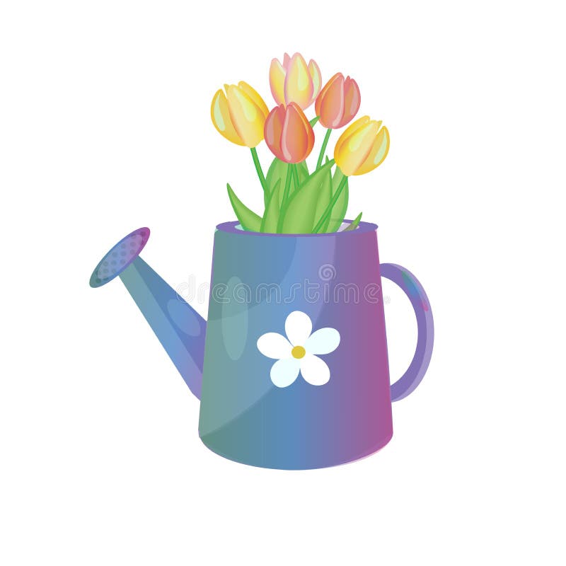Violet Watering Stock Illustrations 230 Violet Watering Stock Illustrations Vectors Clipart Dreamstime Violet Watering Stock Illustrations 230 Violet Watering Stock Illustrations Vectors Clipart Dreamstime