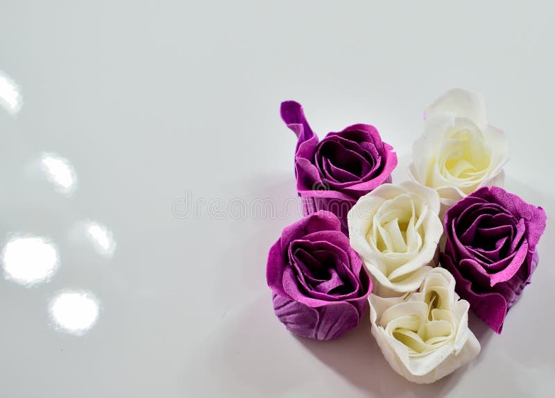 Violet and white roses top view