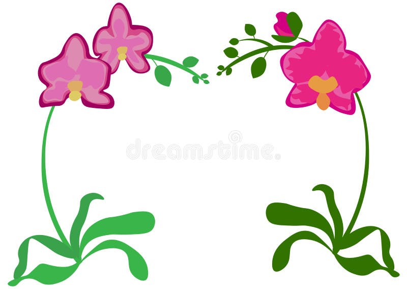 Violette Flieder des Phalaenopsisorchideenrosas purpurroter orange Innenhouseplant Stellen Sie von drei Blumen mit den Knospen, g stock abbildung Violette Flieder des Phalaenopsisorchideenrosas purpurroter orange Innenhouseplant Stellen Sie von drei Blumen mit den Knospen, g stock abbildung