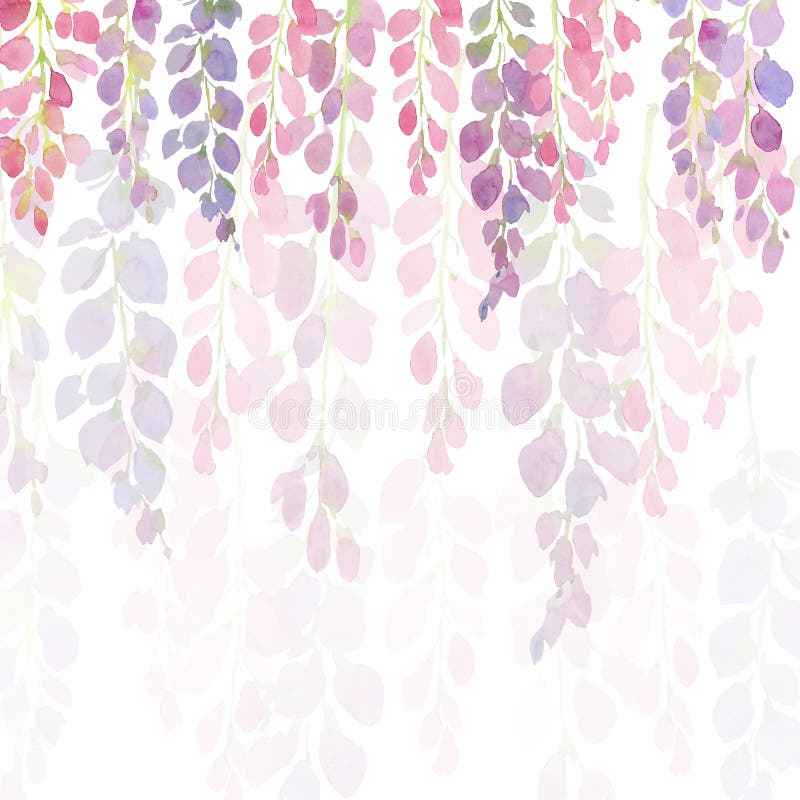 Violette und rosa Glyzinieblumen, Aquarellhandmalerei auf weißem Hintergrund lizenzfreie abbildung Violette und rosa Glyzinieblumen, Aquarellhandmalerei auf weißem Hintergrund lizenzfreie abbildung