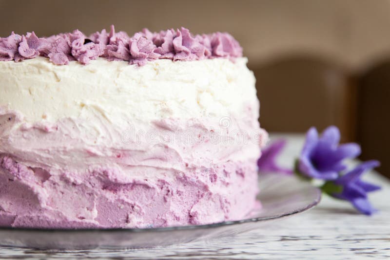 Violetter Kuchen Ombre mit Schwarzen Johannisbeeren stockfoto Violetter Kuchen Ombre mit Schwarzen Johannisbeeren stockfoto
