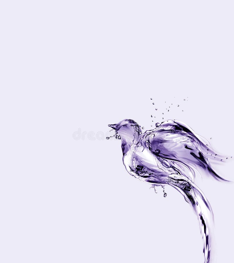 Violettes Wasser-Vogel-Flugwesen oben und weg stockbild Violettes Wasser-Vogel-Flugwesen oben und weg stockbild