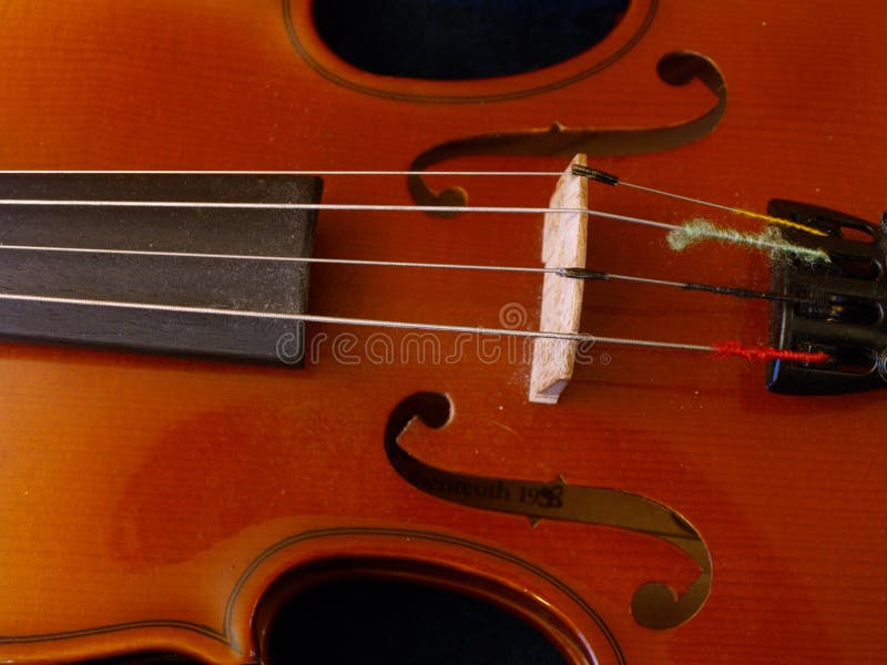 Violin