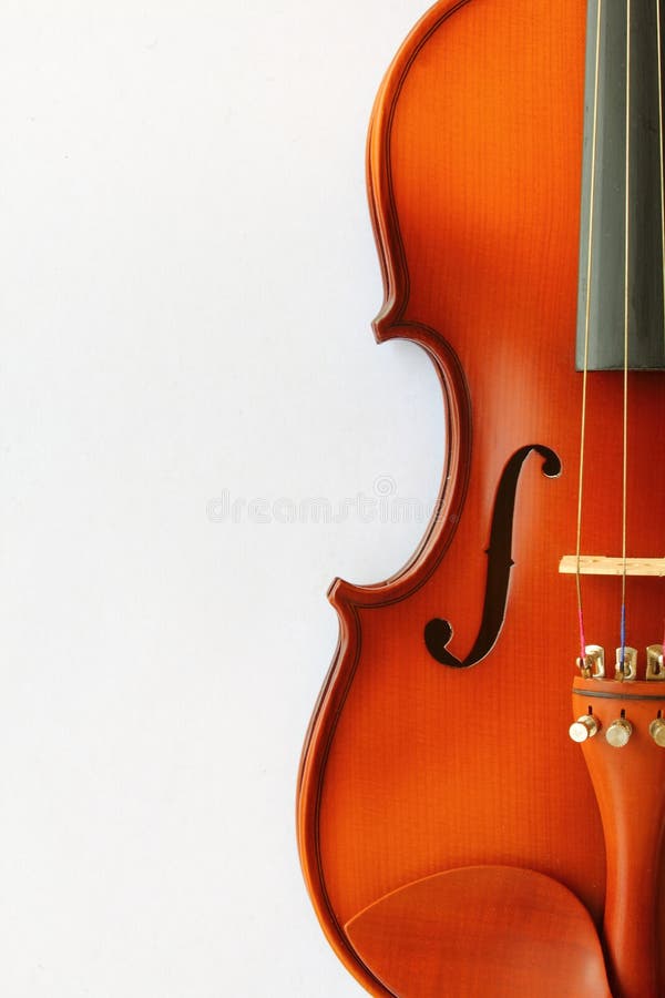 Violin