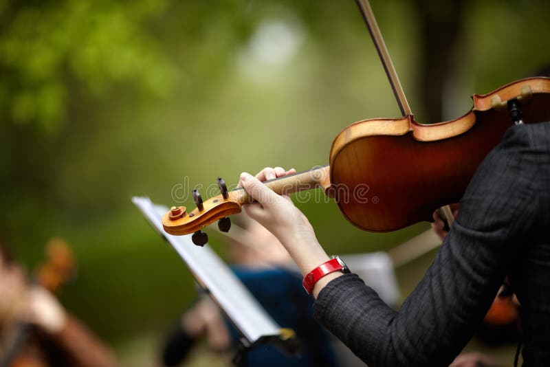 Violin Playing Violinist Musician Stock Photo Image of close, closeup