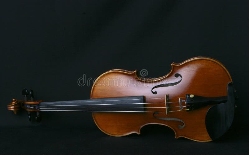 Violin