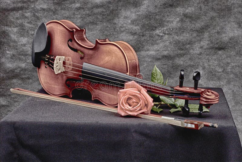 Violin in artistic mood royalty free stock photos Violin in artistic mood royalty free stock photos