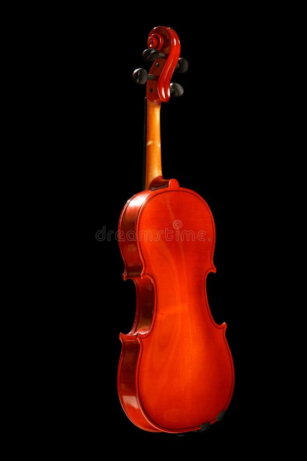 Violin on black