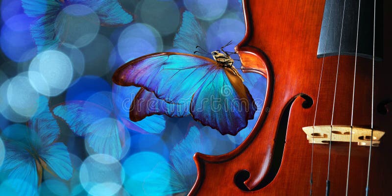 Violin on Blue Blurred Background Closeup. Beautiful Blue Butterfly Morpho  on Violin. Music Concept. Copy Spaces. Blues Music Conc Stock Photo - Image  of blues, color: 205329158