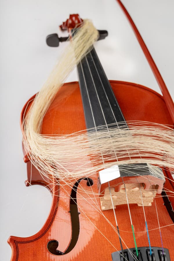 Violin and Bow on a Light Background. a New Stringed Musical Instrument