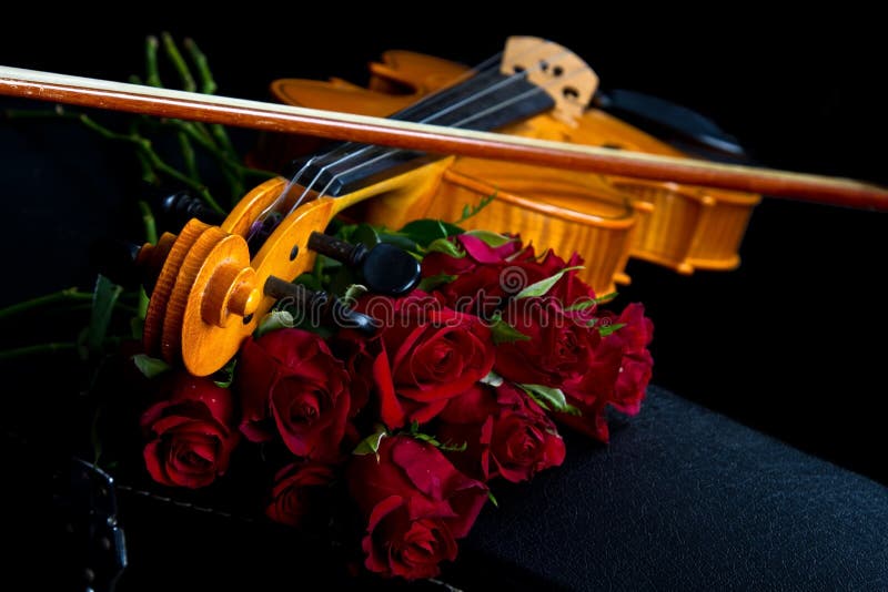 Violin on carry case stock image. Image of classical 32400457