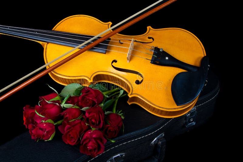 Violin on carry case stock image. Image of classical 32400457