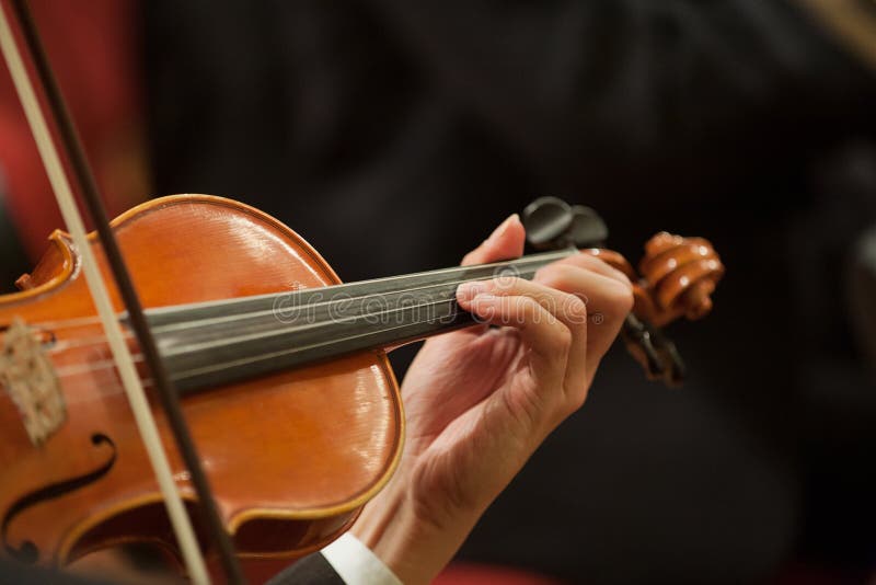 Violin stock photos