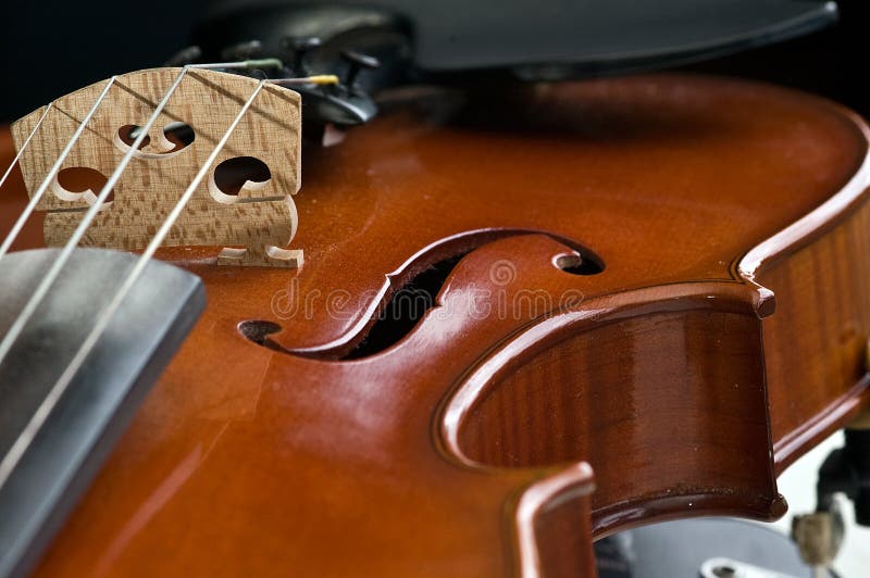 Violin closeup