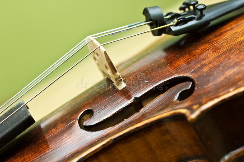 Violin detail