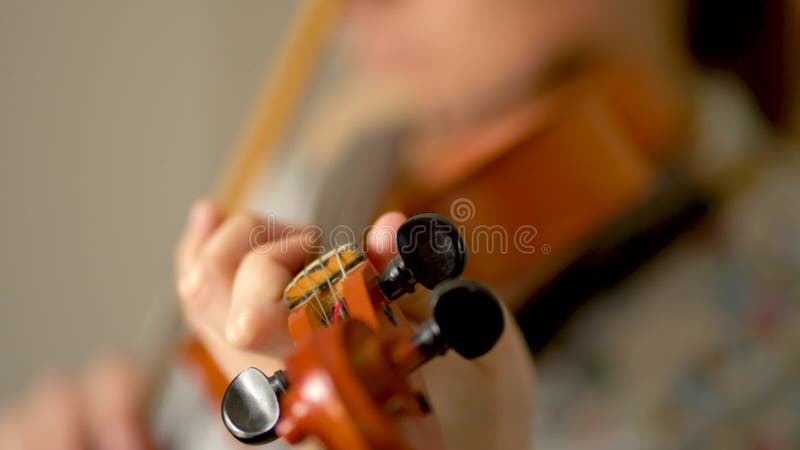 Violin in hands of a young female violinist. Fingerboard close up view. Front view stock video footage
