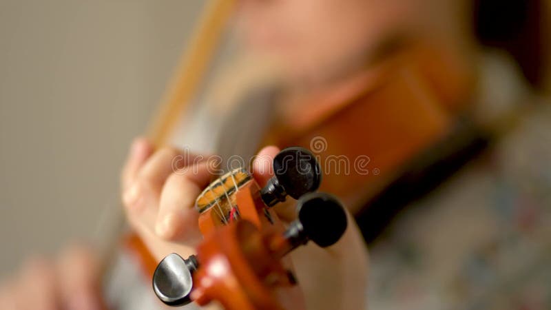 Violin in hands of a young female violinist. Fingerboard close up view. Front view