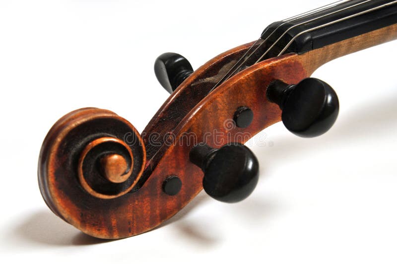 Violin head stock image. Image of quiet, white, strings 10190893