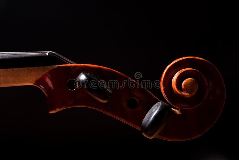 Violin head