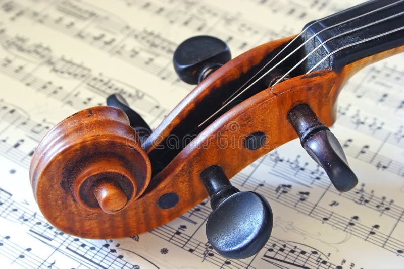 Violin Head