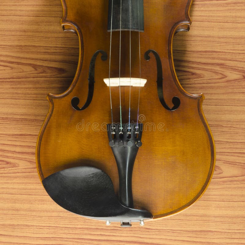 Violin