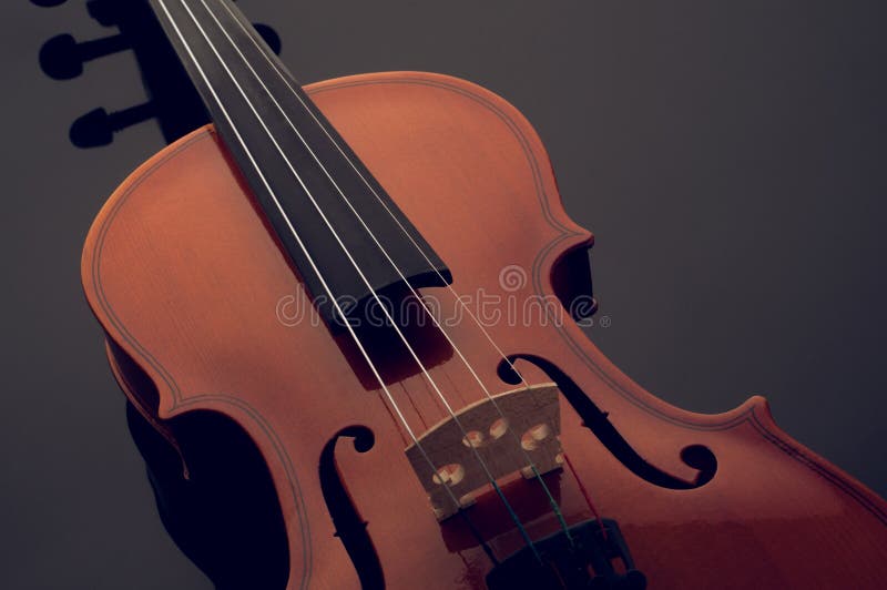 Violin Musical Instruments Of Orchestra Closeup On Black