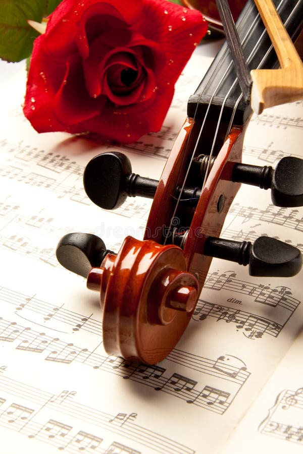 Violin and rose