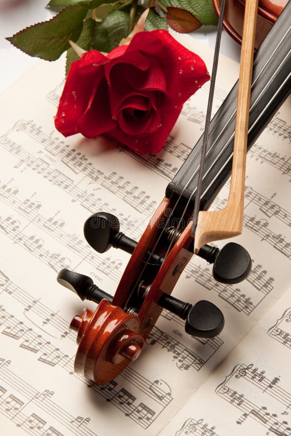 Violin and rose