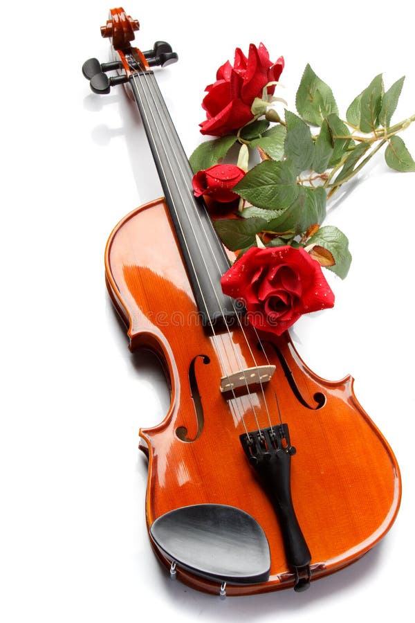 Violin and rose