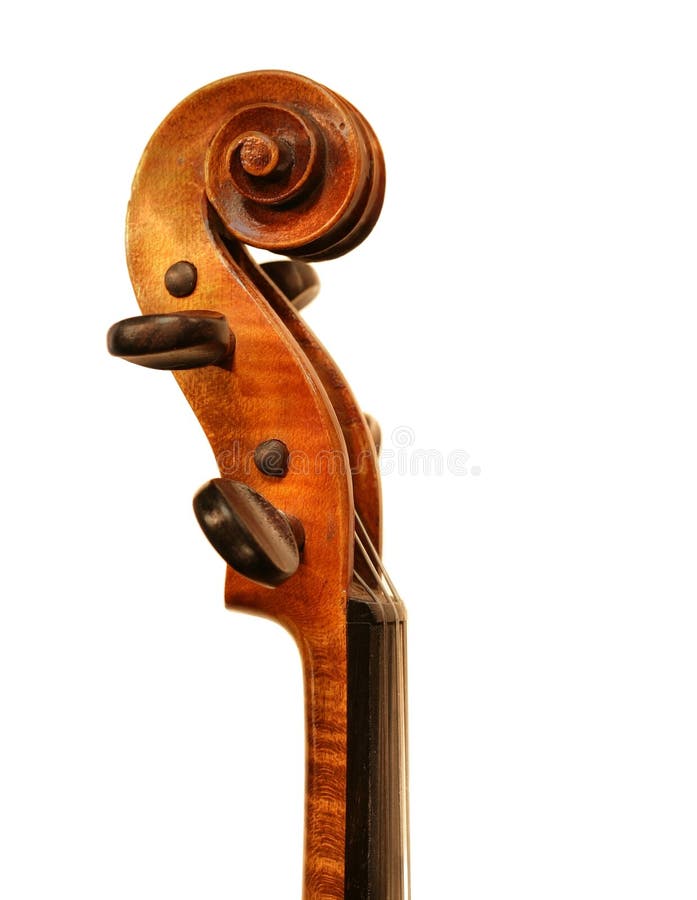 Violin s arm stock photo. Image of concert, stringed, music 4278982