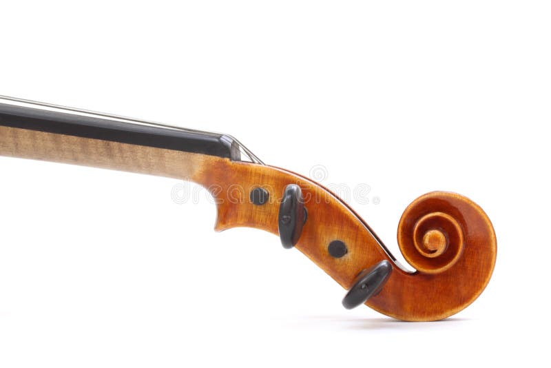 Violin Scroll royalty free stock image