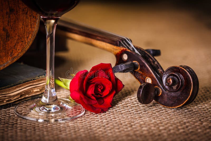 Violin scroll close with red rose stock images
