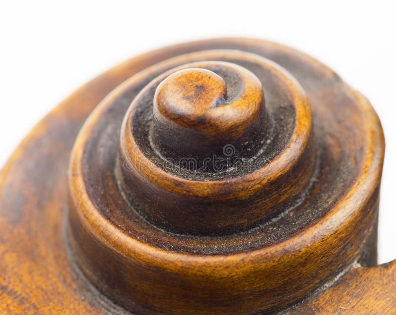 Violin scroll royalty free stock photos
