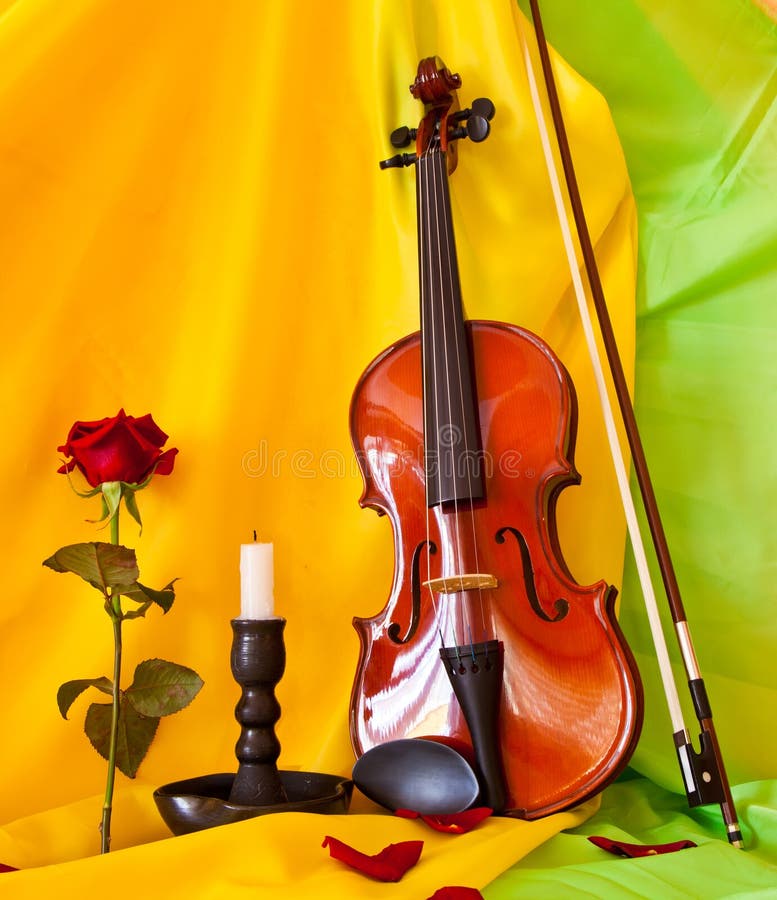 Violin