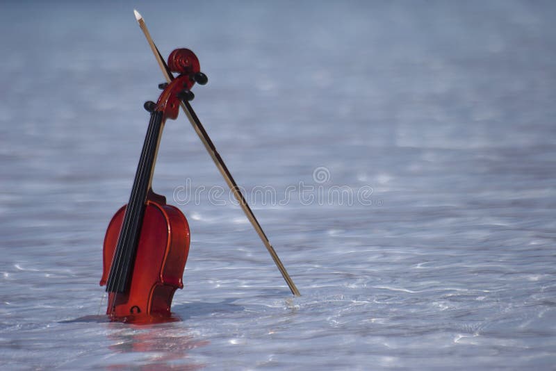 Violin in water stock image. Image of lake, coastline 14931655