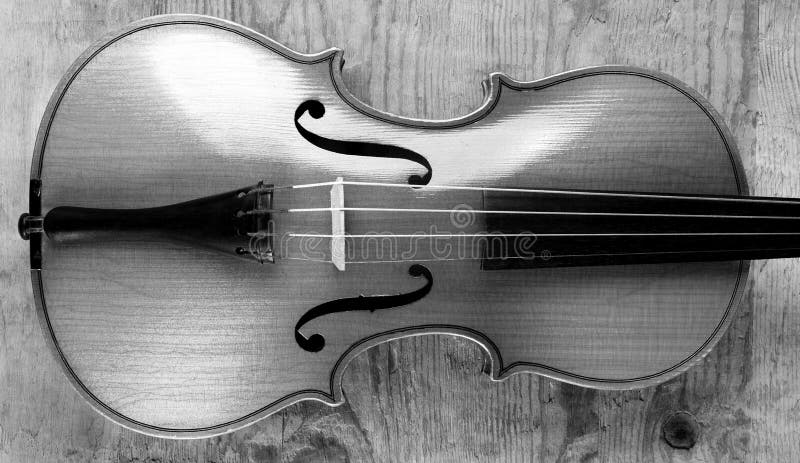 Violin on a Wooden Background. Black and White. Stock Image - Image of  sound, harmony: 103559103
