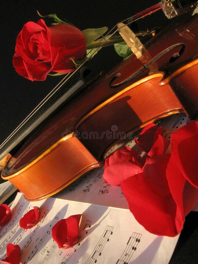 Violine stockbilder Violine stockbilder