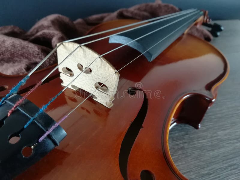 Violino no lenço dobrado imagens de stock Violino no lenço dobrado imagens de stock