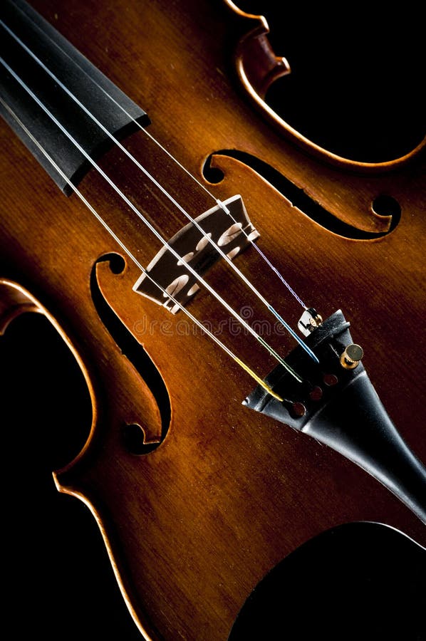 Violino no preto