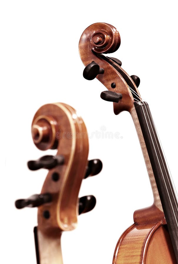 Violins on white stock image. Image of violin, baroque 3330089