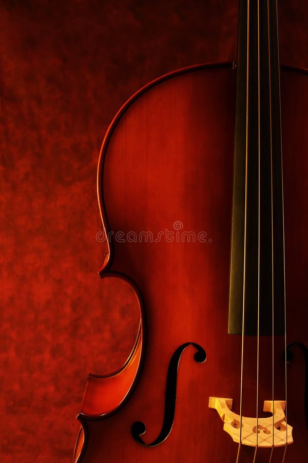 violoncell arkivbilder
