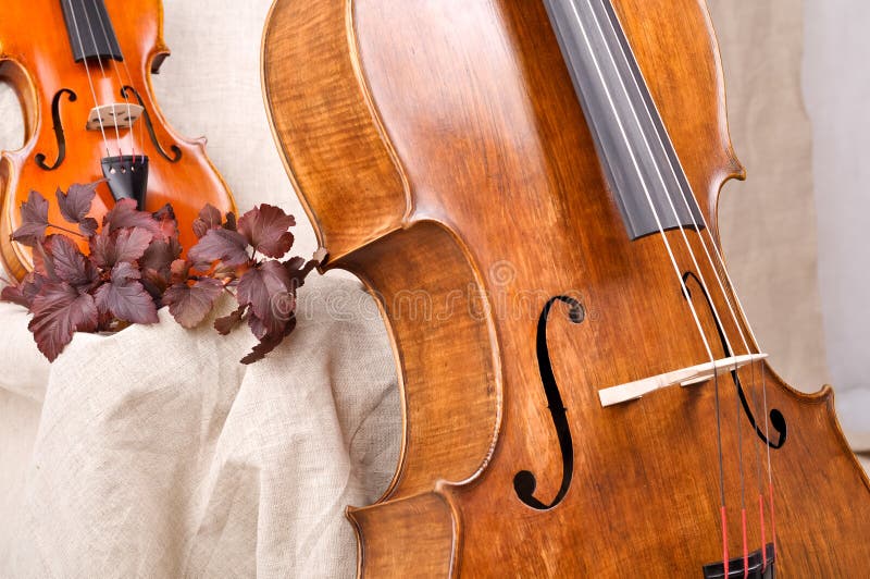 Viool en cello stock afbeelding. Image of pluk, klassiek - 29349239