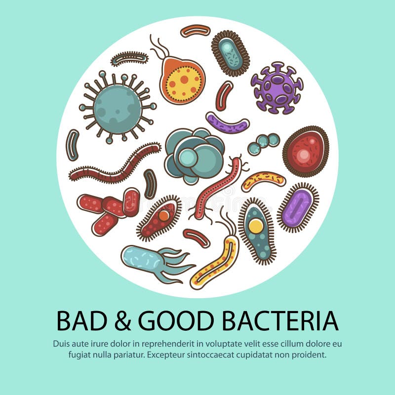 Viren und Bakterienplakat für medizinisches flaches Vektordesign des Gesundheitswesens und der Biologie oder der Bakteriologiewis vektor abbildung Viren und Bakterienplakat für medizinisches flaches Vektordesign des Gesundheitswesens und der Biologie oder der Bakteriologiewis vektor abbildung
