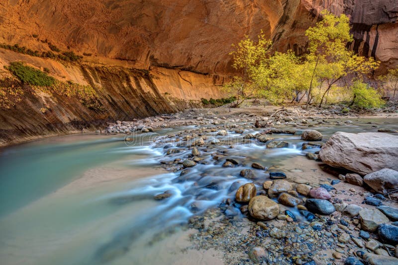 Virgin Narrows of Zion