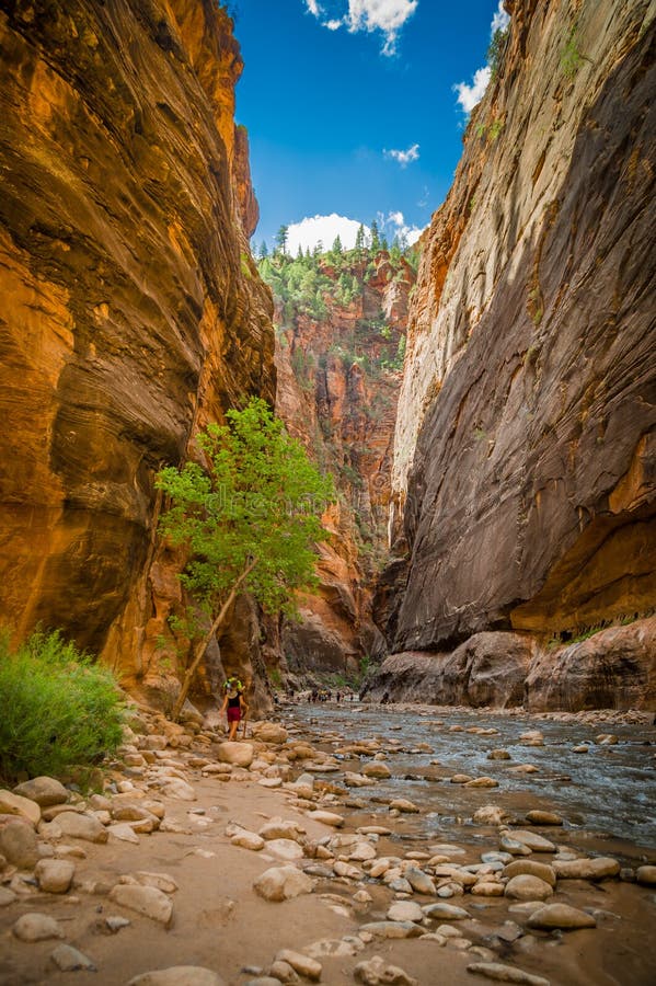 Virgin river in zion national park utah stock photo Virgin river in zion national park utah stock photo